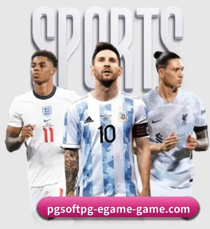 五大服务分区,信息按项目分类 - pgdianzi