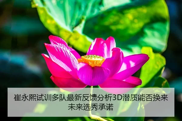 崔永熙试训多队最新反馈分析3D潜质能否换来未来选秀承诺