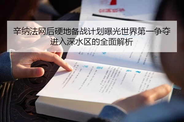 辛纳法网后硬地备战计划曝光世界第一争夺进入深水区的全面解析