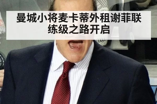曼城小将麦卡蒂外租谢菲联 练级之路开启（pgdianzi）