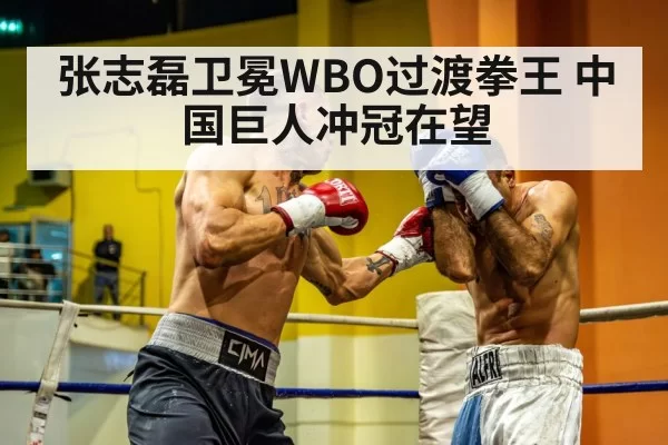 Chinese heavyweight boxer