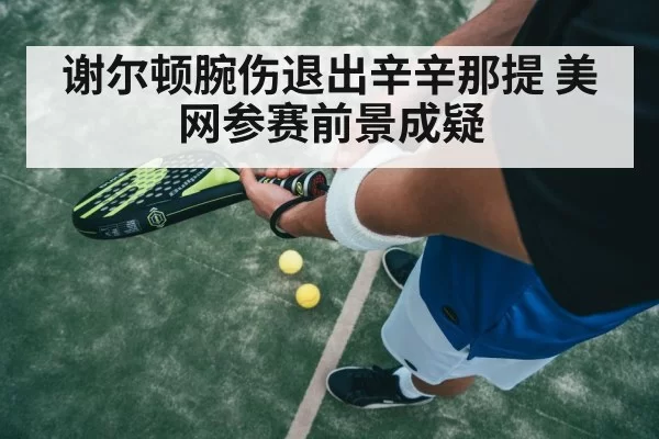 谢尔顿腕伤退出辛辛那提 美网参赛前景成疑（pgdianzi）
